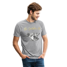 Load image into Gallery viewer, The Golden Life - Unisex Tri-Blend T-Shirt - heather grey
